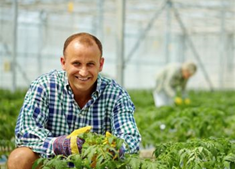 ¿Por qué humidificar invernaderos?